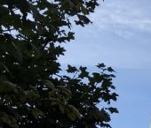 Продать Квартиры вторичка Беломорская улица, 18Ак1   