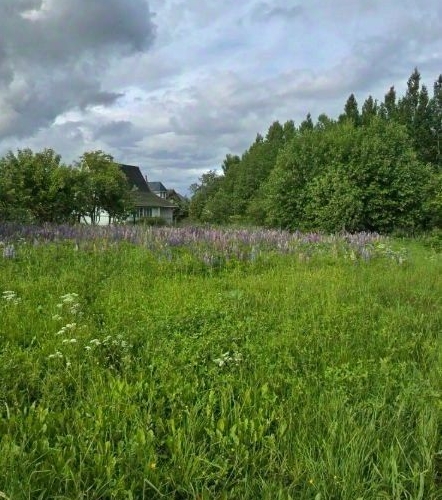 Земельный участок Павловск, Славяночка-2 СНТ, 370