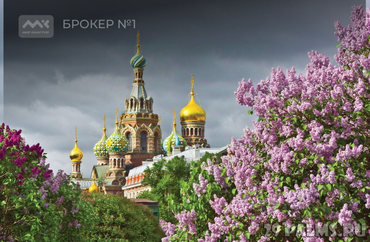 Продажа 4-комн квартиры на вторичном рынке набережная Реки Мойки, 1/8