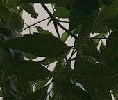 Продать Квартиры вторичка улица Климашкина, 22   