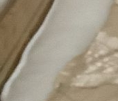 Сдать в аренду Квартиры вторичка Витебский проспект, 101к4   