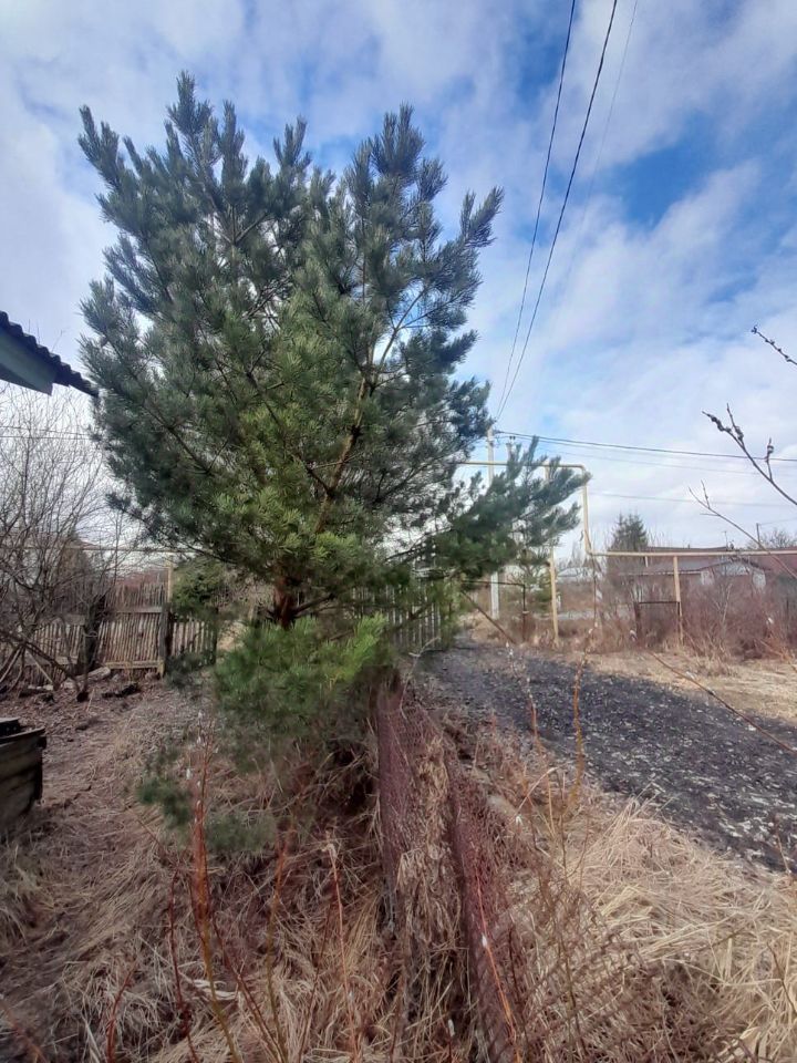 Продажа дома Отрадное, 7-я линия