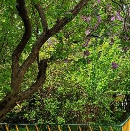 Продажа комнаты Новокузнецкая улица, 30С3