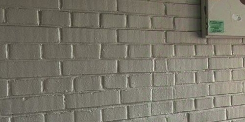 1-комн квартира Пушкин, бульвар Алексея Толстого, 6/66