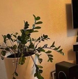 Аренда 3-комн квартиры на вторичном рынке улица Фридриха Энгельса, 7-21 Аренда 3-комн квартиры на вторичном рынке улица Фридриха Энгельса, 7-21