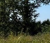 Продать Земельные участки, земля д. Новополье, 6   