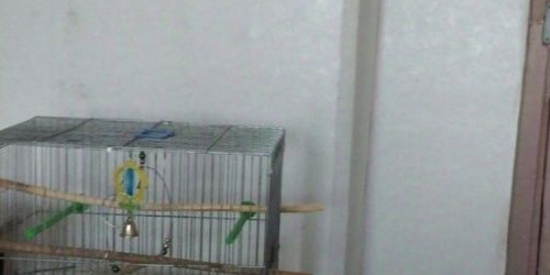 Комната улица Ольги Форш, 7К2