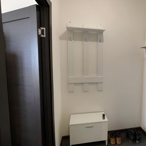 Студия пос. Шушары, проспект Старорусский, 13к1