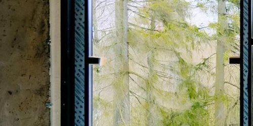 Коттедж/дом пос. Лисий Нос, Приморское шоссе, 26А