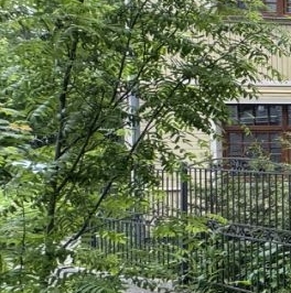 Продажа 2-комн квартиры на вторичном рынке Павловск, Песчаный переулок, 9 Продажа 2-комн квартиры на вторичном рынке Павловск, Песчаный переулок, 9