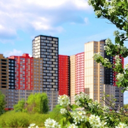 Аренда ПСН Пехра-Никольское, , Балашиха, ул Трубецкая, д. 2 Аренда ПСН Пехра-Никольское, , Балашиха, ул Трубецкая, д. 2