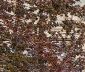 Продать Квартиры вторичка улица Большая Дмитровка, 9С1   