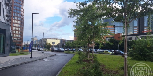 Студия Заневский просп.,  д. 65,  к. 2