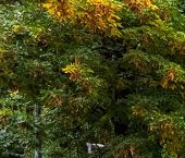 Продать Квартиры вторичка Старосадский переулок, 10С1   