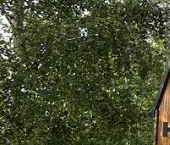 Продать Дачи, коттеджи, загородные дома д. Большое Коновалово, улица Березовая, 10   