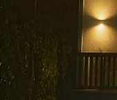 Сдать в аренду Квартиры вторичка д. Солослово, 4к11   