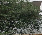 Продать Квартиры вторичка Челюскинская улица, 12   