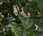 Продать Квартиры вторичка Петергоф, Никольская улица, 10   