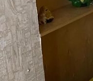 Аренда комнаты в коммуналках Взлетная улица, 11