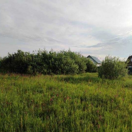 Продажа земли Хорлово, снт Химик-6 Продажа земли Хорлово, снт Химик-6