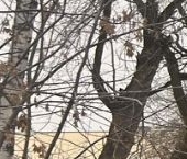 Продать Квартиры вторичка Люберцы, Железнодорожная улица, 1б   