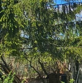 Продажа дома Дивенская садоводческий массив, Дивенское СТ, д. 293 Продажа дома Дивенская садоводческий массив, Дивенское СТ, д. 293