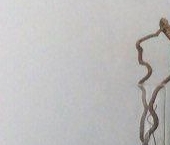 Сдать в аренду Квартиры вторичка проспект Медиков, 10к6   