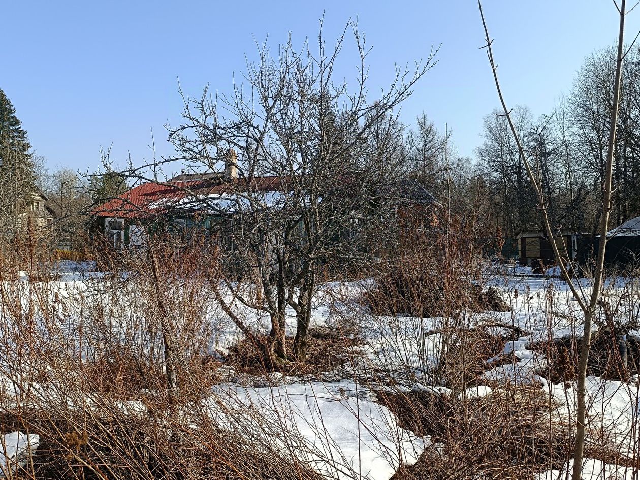 Продажа земли Рощино пгт, Наука СНТ, проезд Политехнический,  д. 12