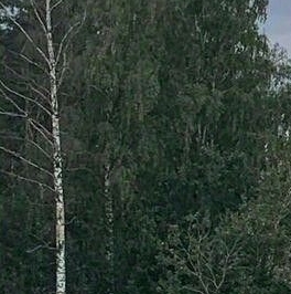 Продажа дома Мяглово-Карьер садоводческий массив, Уткина заводь СНТ, 9-я линия,  д. 269