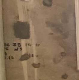 Продажа студии проспект Крузенштерна, 4 Продажа студии проспект Крузенштерна, 4