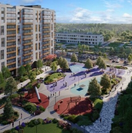 Продажа 1-комн квартиры на вторичном рынке Новоселье, ул Петропавловская,  д. 13