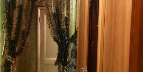 Комната Труда ул,  д. 22 /15