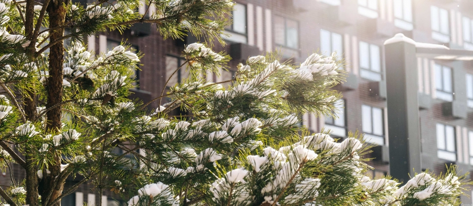 Продажа 1-комн квартиры в новостройке Никольские луга, корп. 4