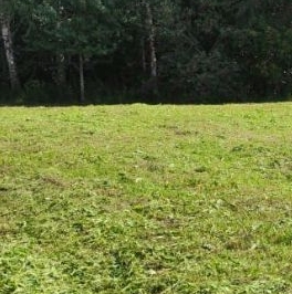 Продажа земли д. Баландино, 2 Продажа земли д. Баландино, 2