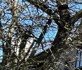 Продать Квартиры вторичка Павловск, Пионерская улица, 6   