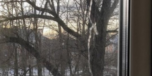 4-комн квартира Пушкин г., Прямой пер.,  д. 6