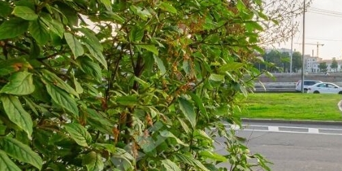 2-комн квартира Выборгская набережная, 25