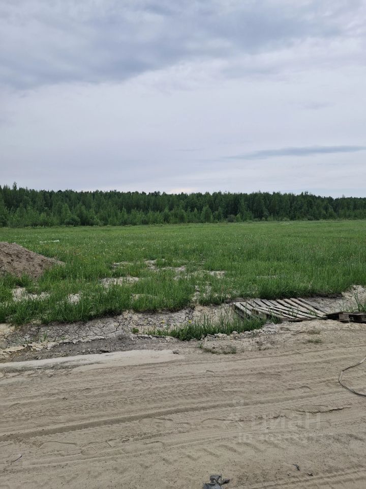 Продажа земли Павловск, Березовая улица