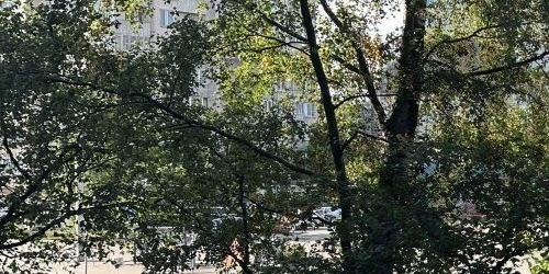 3-комн квартира Светлановский проспект, 75