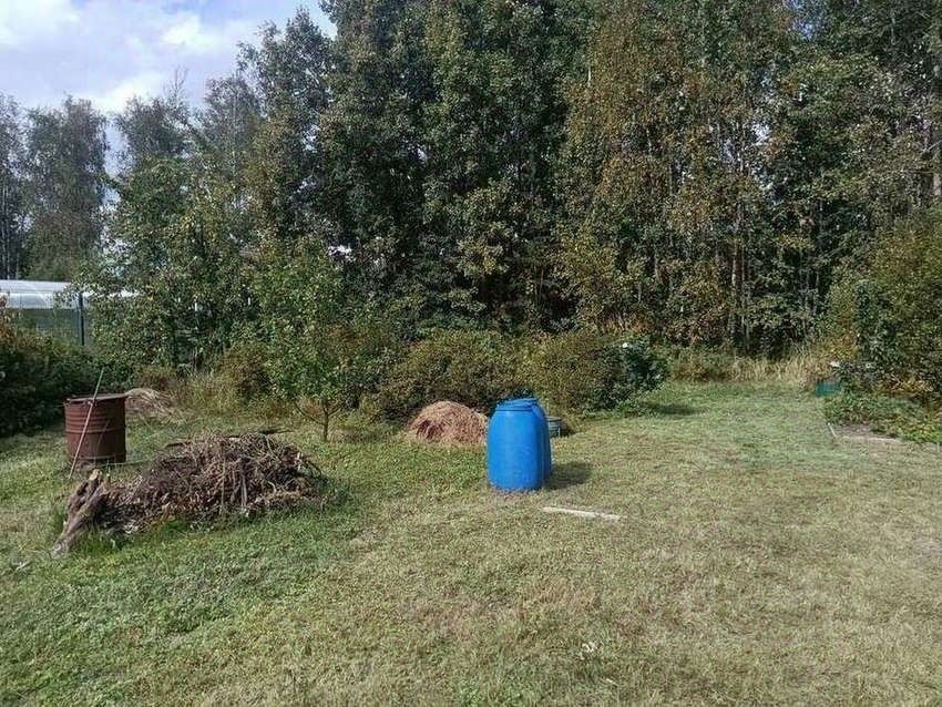 Продажа земли Новая Ропша садоводческий массив, Макаровец-1 СНТ, аллея 12-я Лесная,  д. 31А