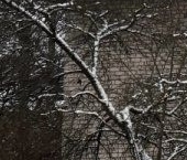 Продать Квартиры вторичка Гатчина, улица Профессора Русинова, 8   