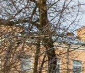 Продать Квартиры вторичка Кронштадт, улица Карла Маркса, 25   