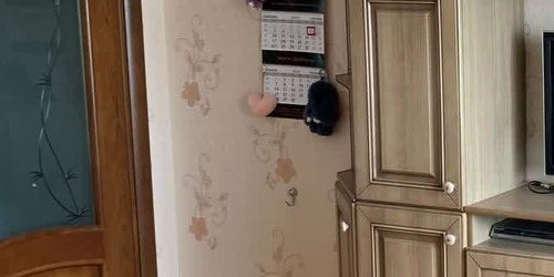 3-комн квартира Колпино, улица Анисимова, 5к7