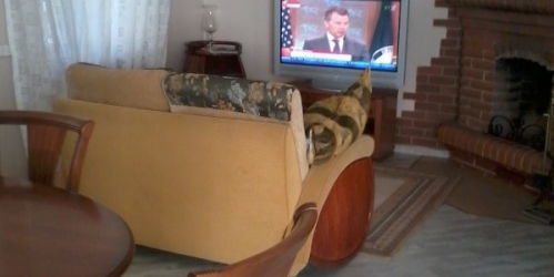 Коттедж/дом Парголовский пер ,  д. 16