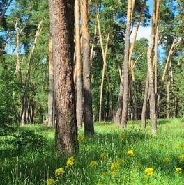 Продажа 3-комн квартиры на вторичном рынке Серпухов, Октябрьская улица, 26Б Продажа 3-комн квартиры на вторичном рынке Серпухов, Октябрьская улица, 26Б