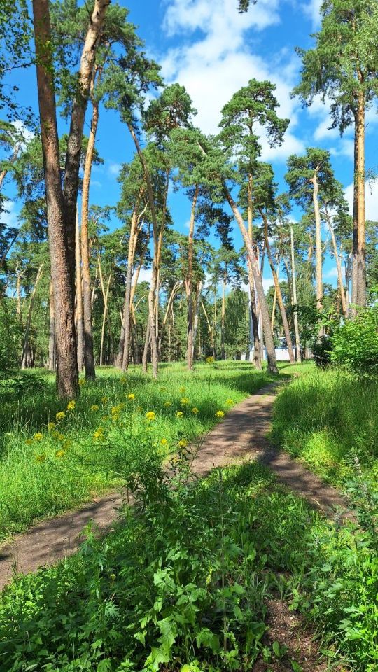 Продажа 3-комн квартиры на вторичном рынке Серпухов, Октябрьская улица, 26Б