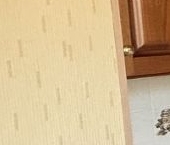 Продать Квартиры вторичка Новочеремушкинская улица, 50К3   