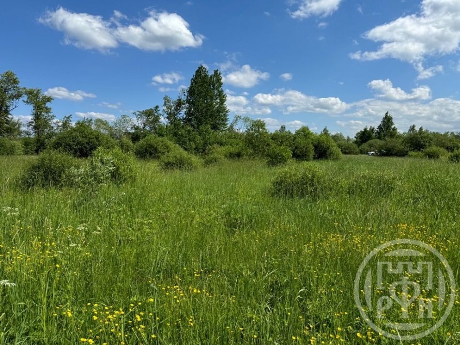 Продажа земли Отрадное г., Шишова ул. ,  д. 3