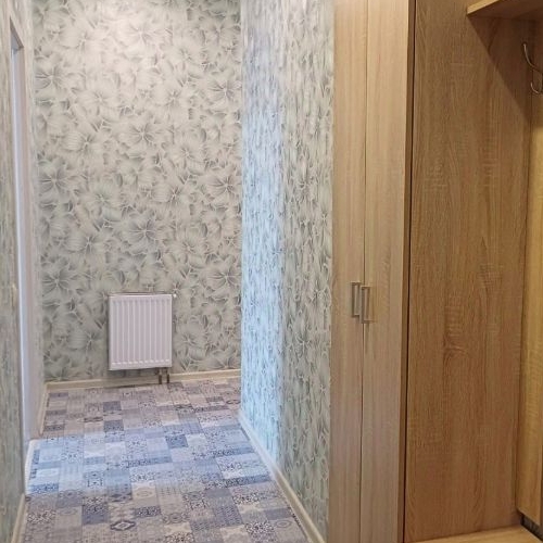 1-комн квартира пос. Шушары, Пулковское тер., улица Переведенская, 4к1