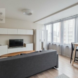 Аренда 2-комн квартиры на вторичном рынке Несвижский пер,  д. 10